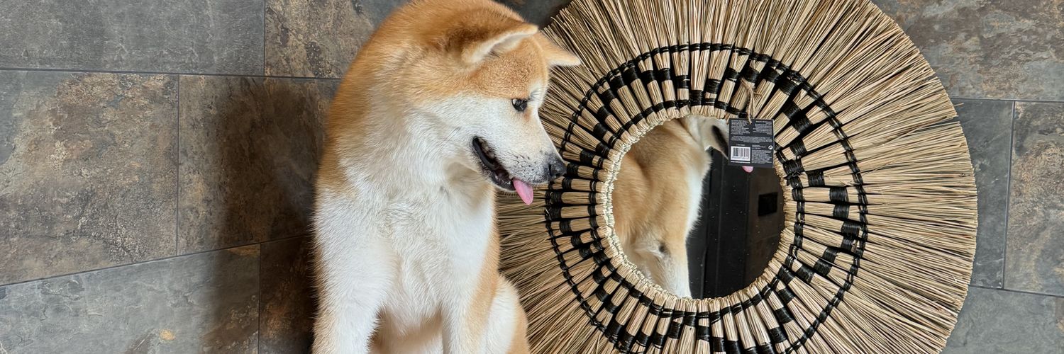 татарин из уфы's banner