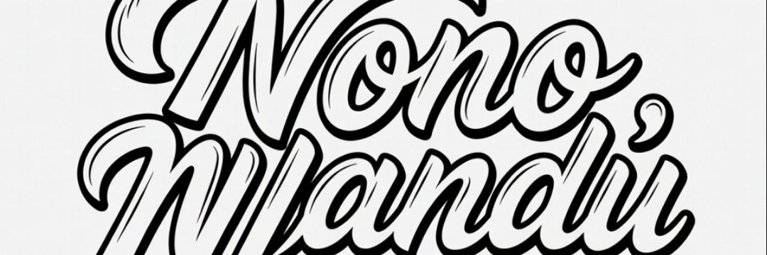 Nono N'Landu's banner