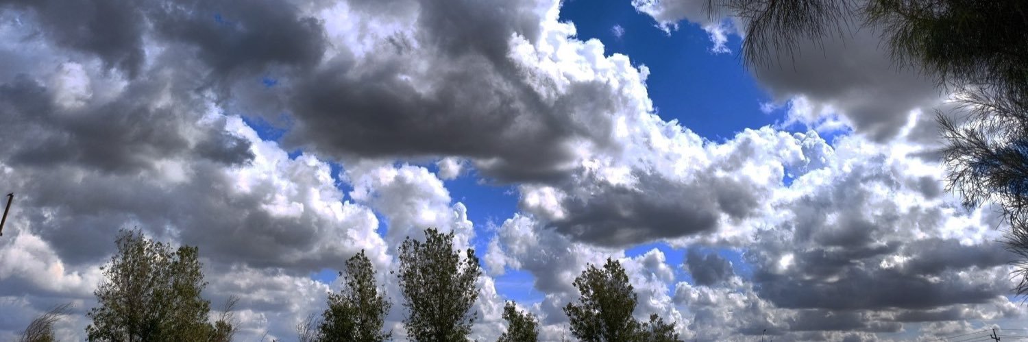 مَيْسُون's banner