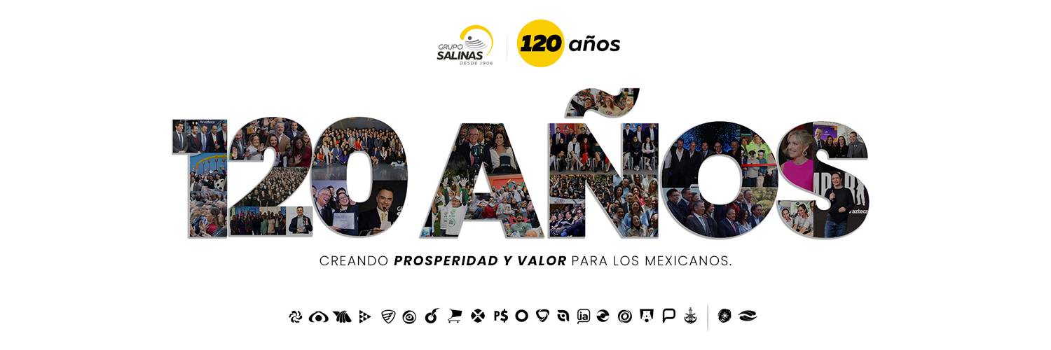 Grupo Salinas's banner