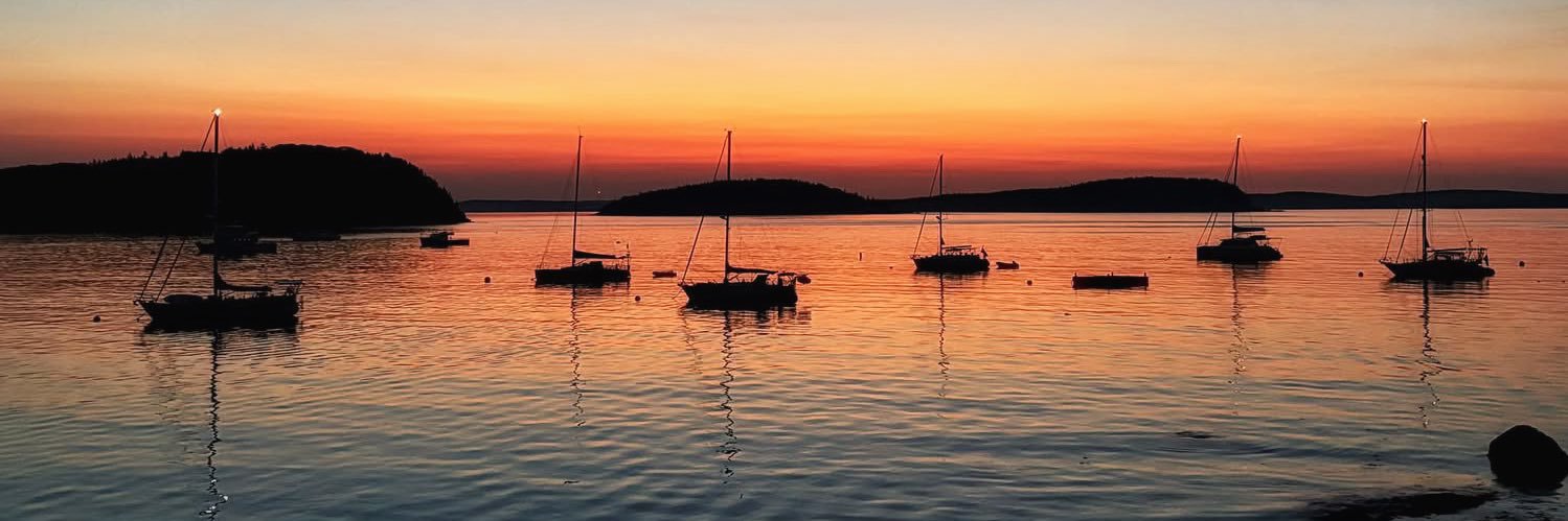 Maine's banner