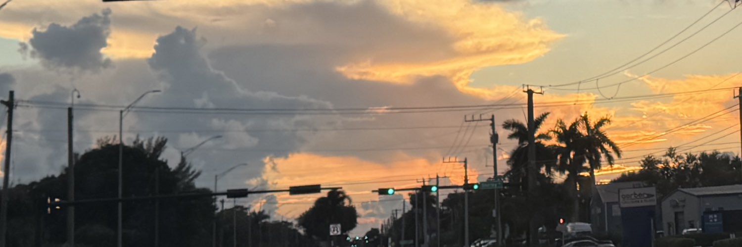 liberalease's banner
