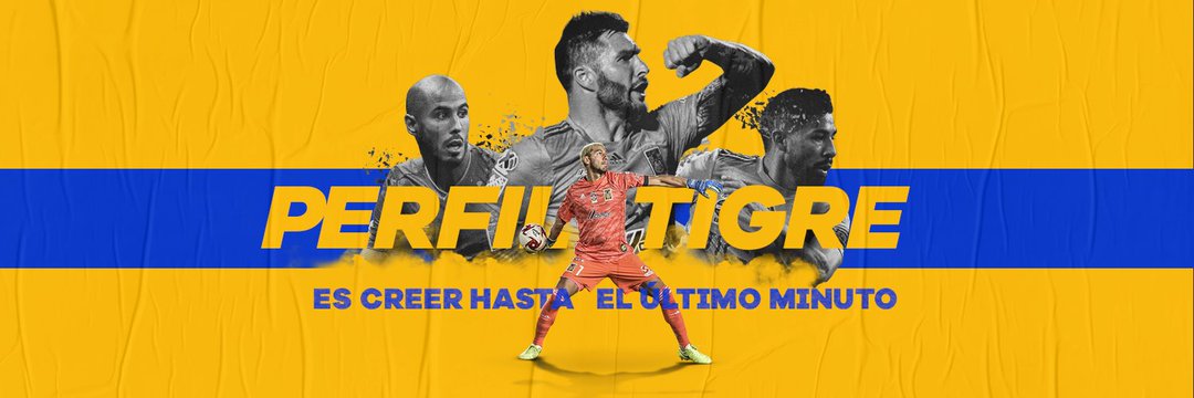 PERFIL TIGRE 🐅's banner