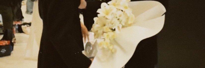 ᴅɪɴᴏ•ไดโน ♡ 𝘽𝙞𝘽𝙞's banner