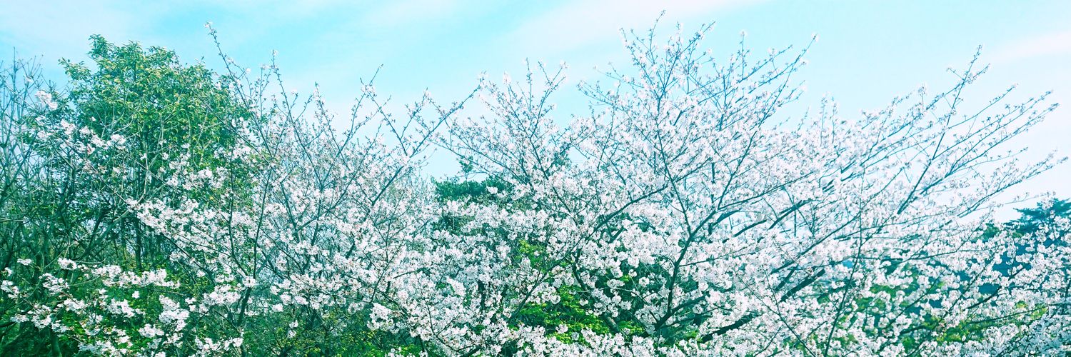 Hav(ハブ)'s banner