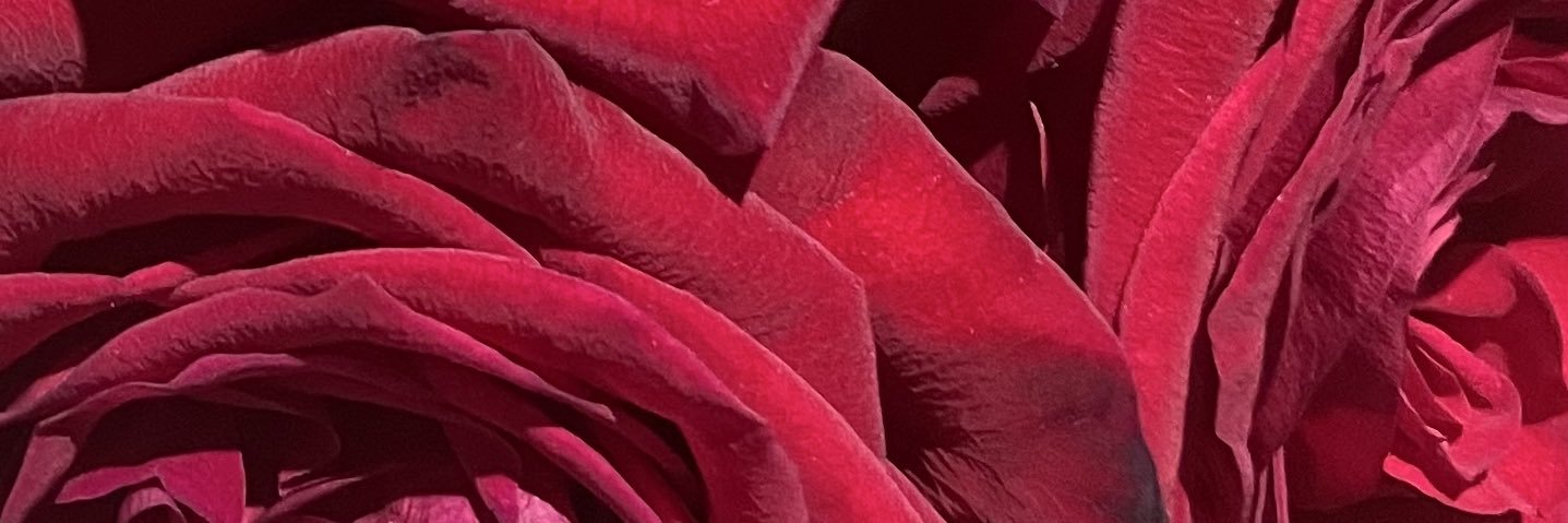 pucci la santa ❤️‍🔥's banner