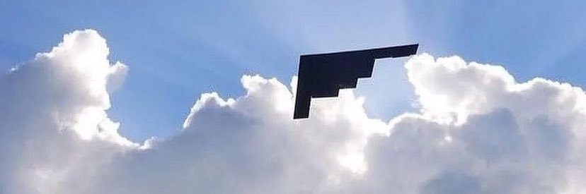 stimp's banner