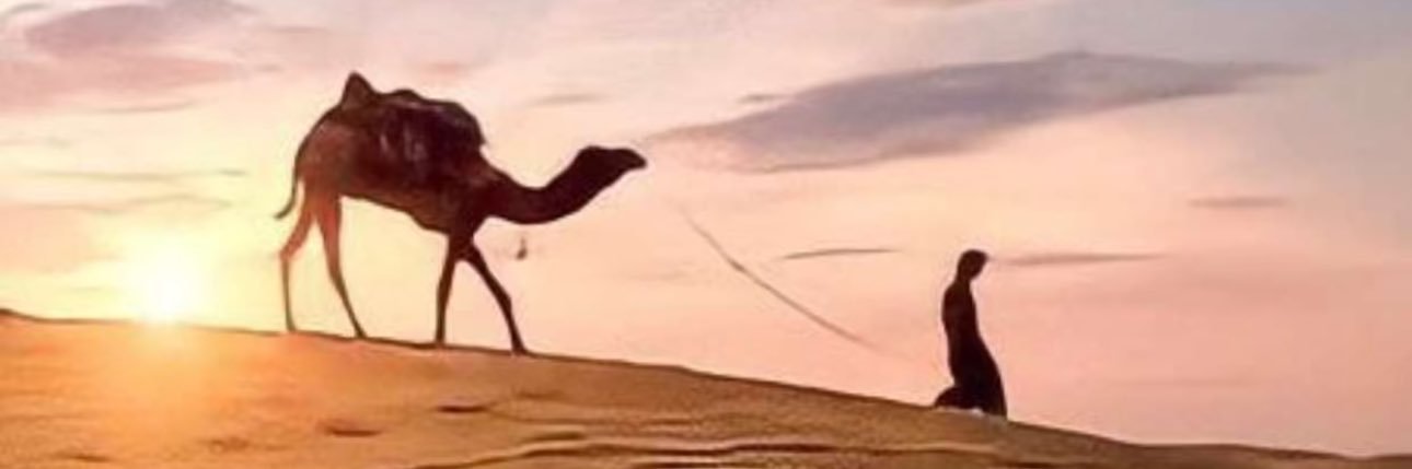 مقرعات التوادي🎖️'s banner