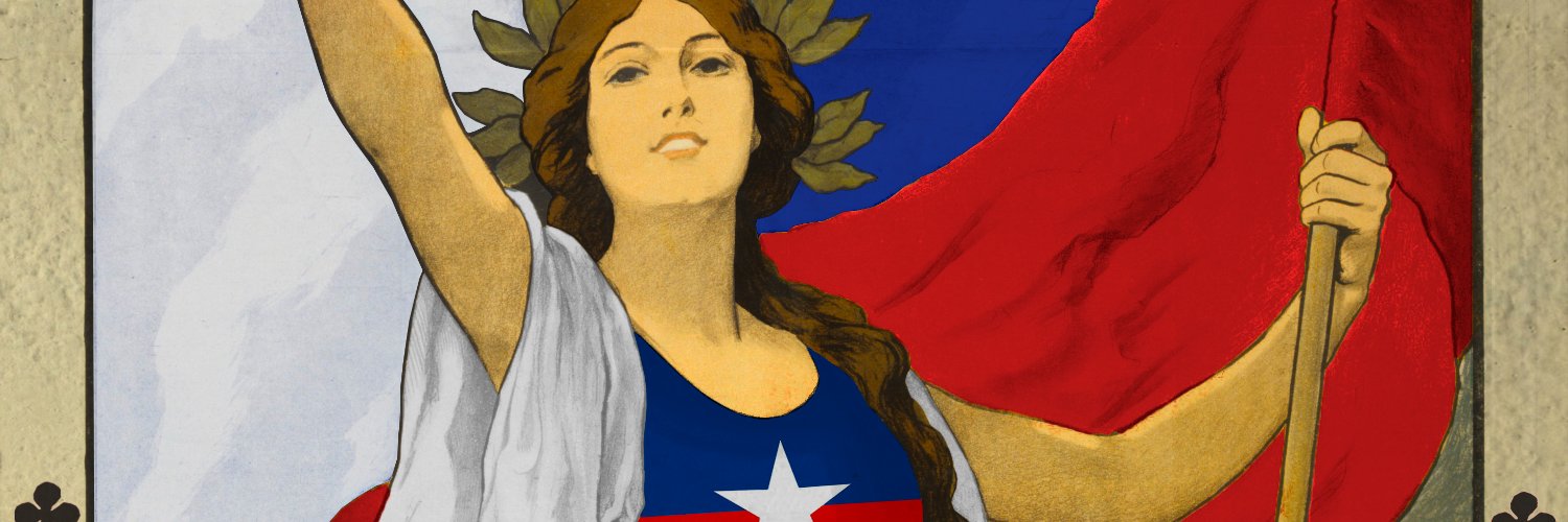 Neo Chilenista's banner
