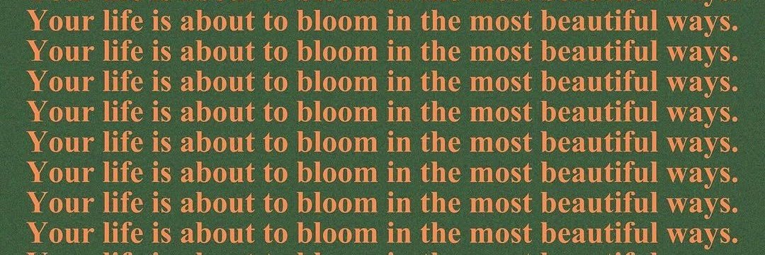 🌸's banner