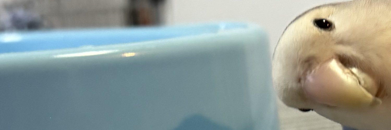 ち's banner