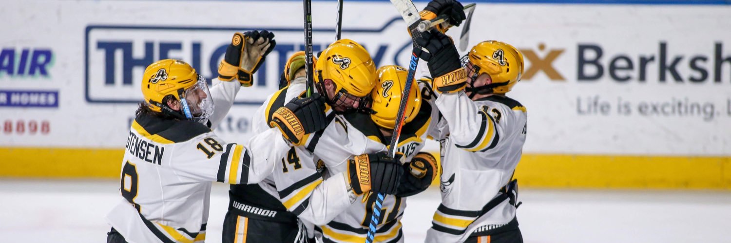AIC Hockey's banner
