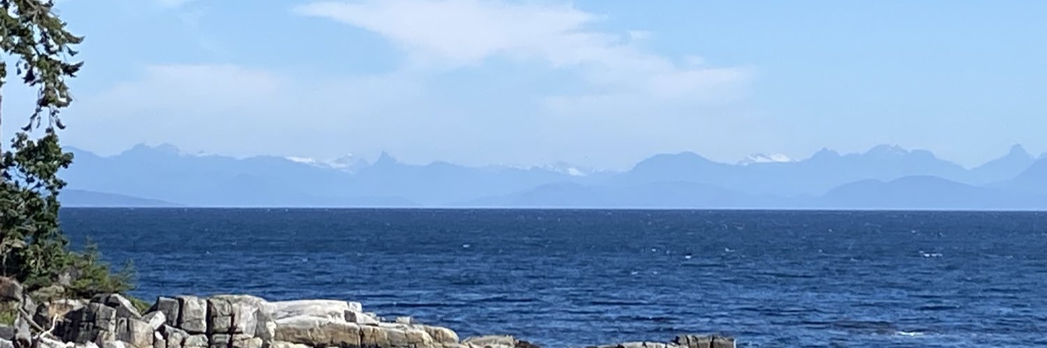 IslandMan's banner
