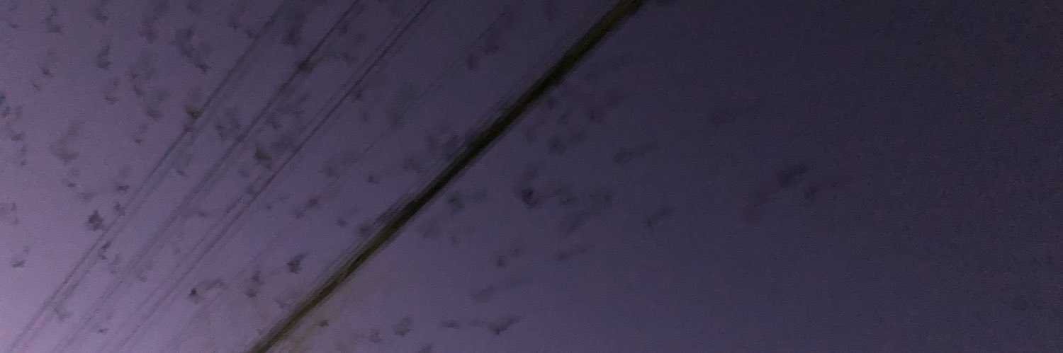 ひかる's banner