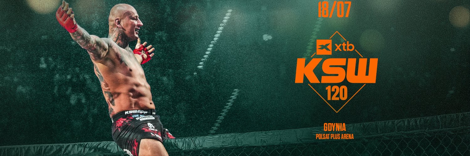 Artur Szpilka's banner