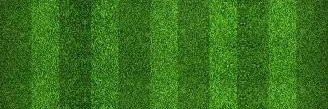 Sara Times ©'s banner