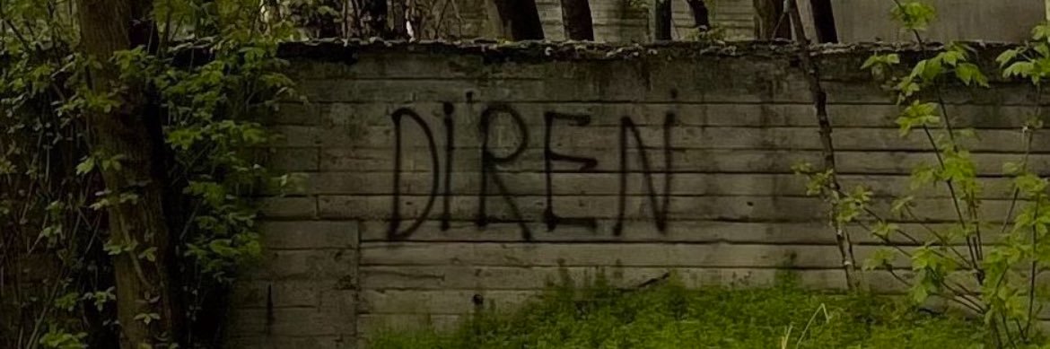 sorgusual's banner