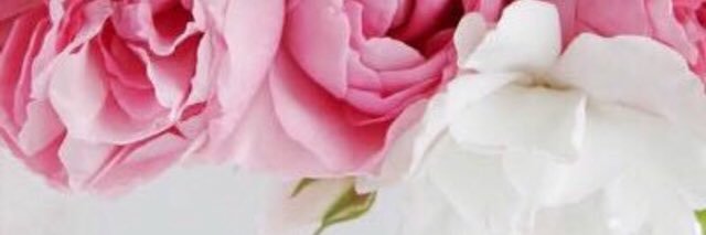 🌼🌸🌺CSW🌺🌸🌼's banner