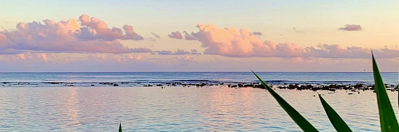 Ann-Marie Vaz🇯🇲's banner