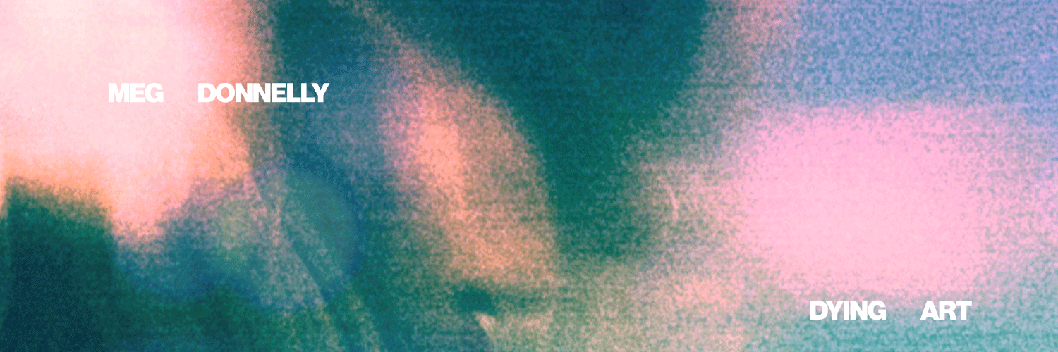 meg donnelly's banner