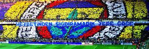 focus's banner