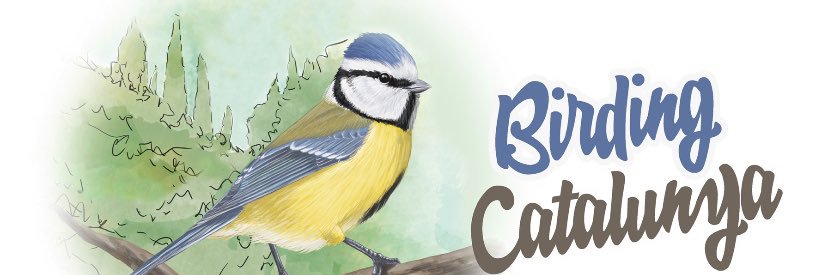 Birding Catalunya's banner
