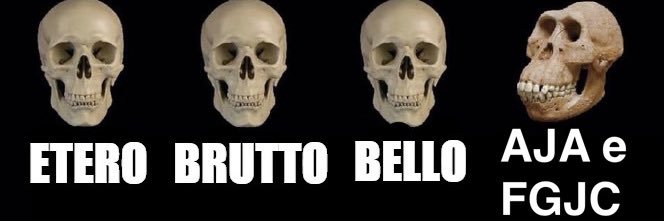 Willy Signori's banner