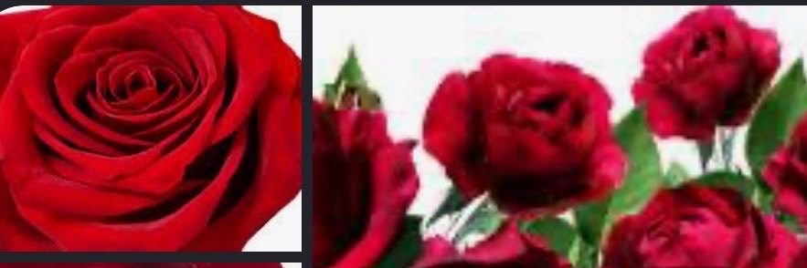 @mpcfm's banner