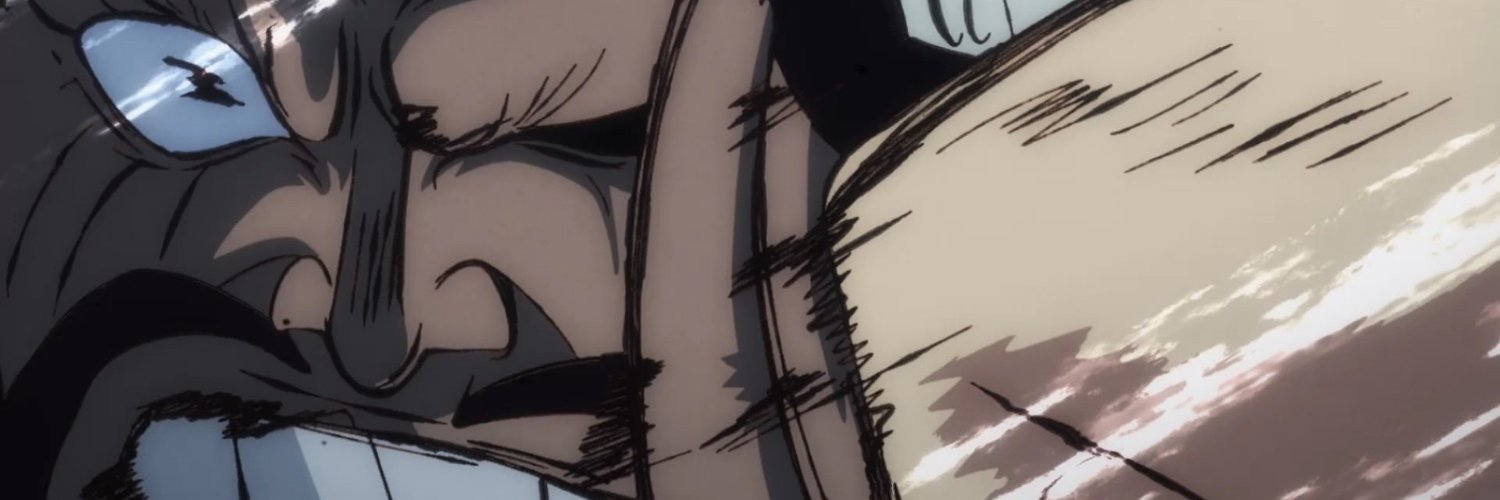 🇩🇴Salvatore D. Toei Defender/Offender🇺🇸 #Kaido's banner