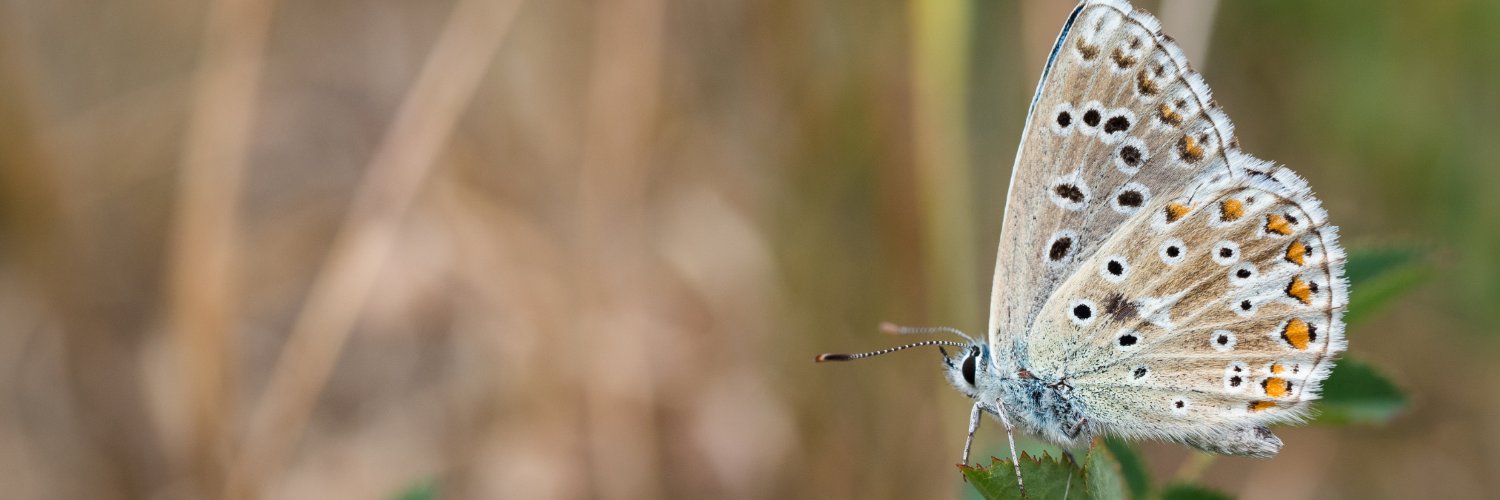 Kent Wildlife Trust's banner