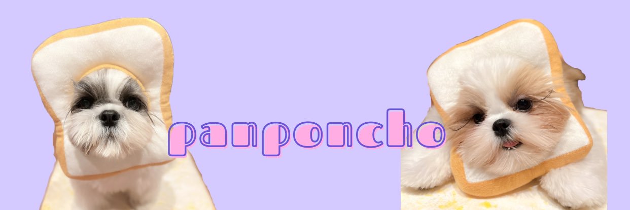 シーズー🐶ぱんちょとぽんちょ's banner