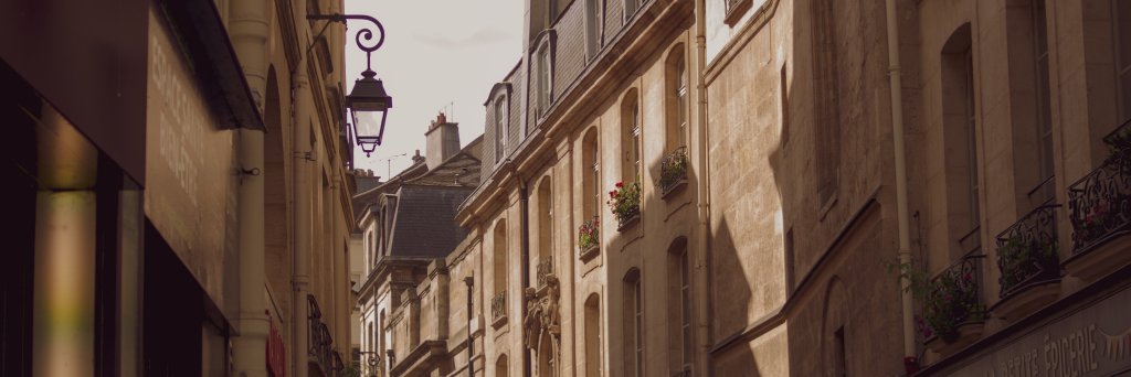 LouisLeGris's banner
