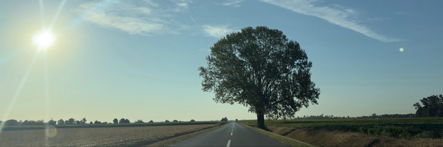 Danko Kočiš's banner