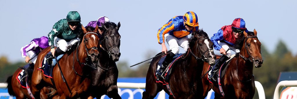 Leopardstown RC's banner