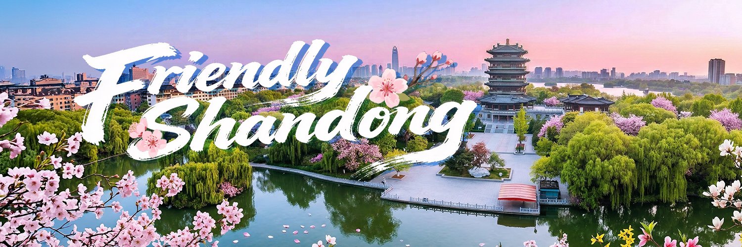 Friendly Shandong's banner