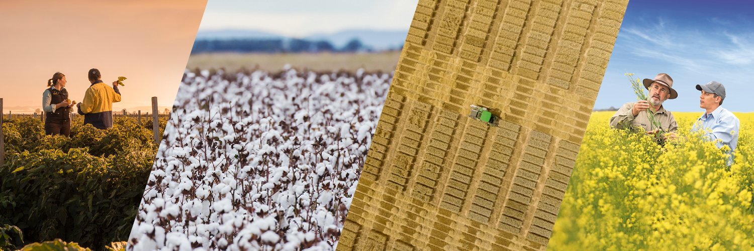 Bayer AU 🇦🇺 | Crop Science's banner