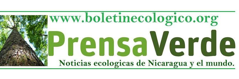 BOLETIN ECOLOGICO's banner