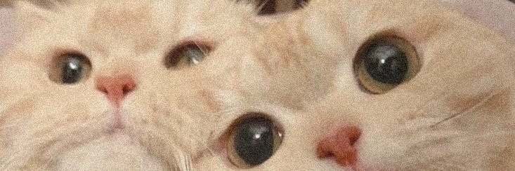 zjmdks's banner