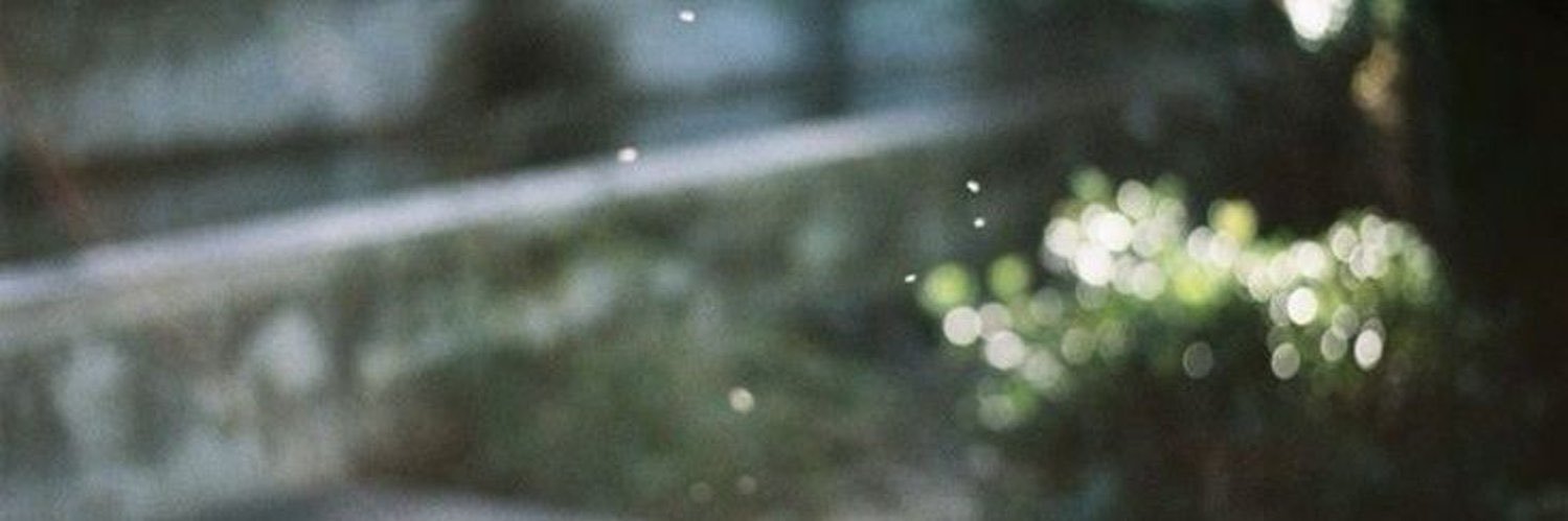 liz's banner