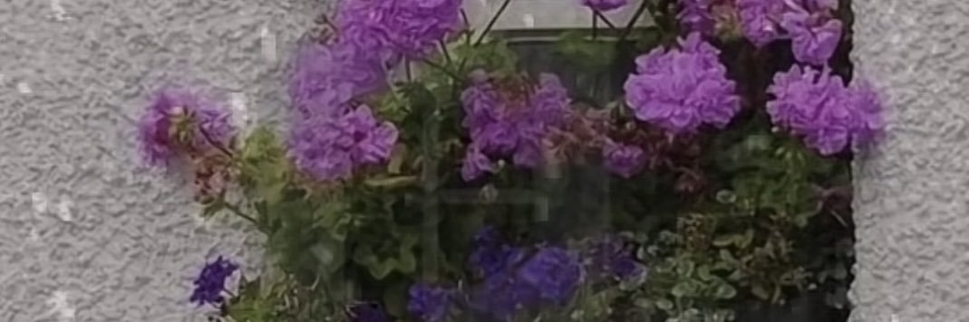شادن 🤍💜's banner