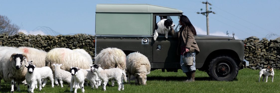 Alison O’Neill ~ Shepherdess's banner