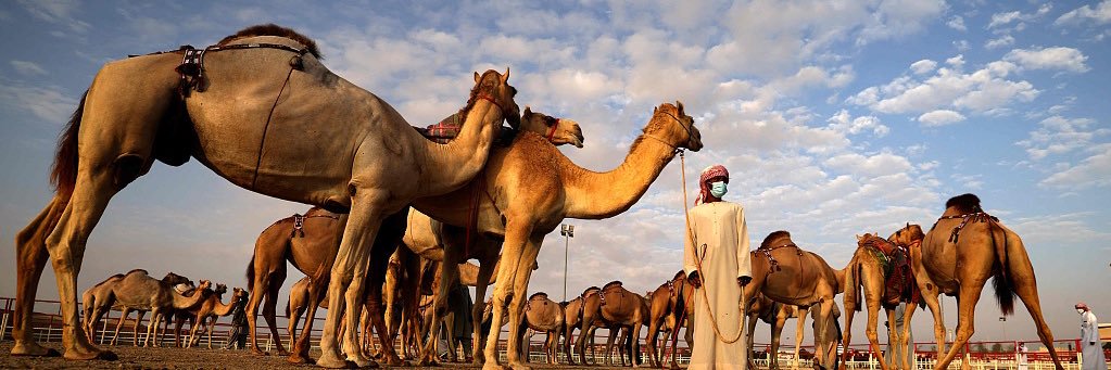 معاذ بن فيصل الحربي 🇯🇴's banner