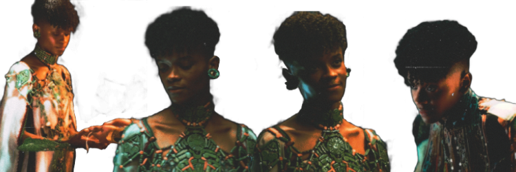 𝐭𝐡𝐞 𝐁𝐋𝐀𝐂𝐊 𝐏𝐀𝐍𝐓𝐇𝐄𝐑.'s banner