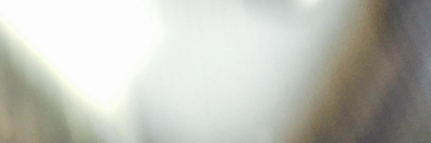 ワルキ's banner