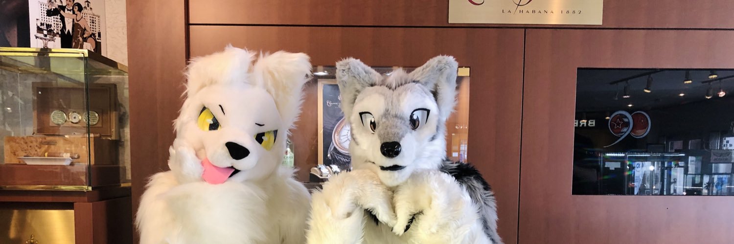 まぁる🦖(maaru)'s banner
