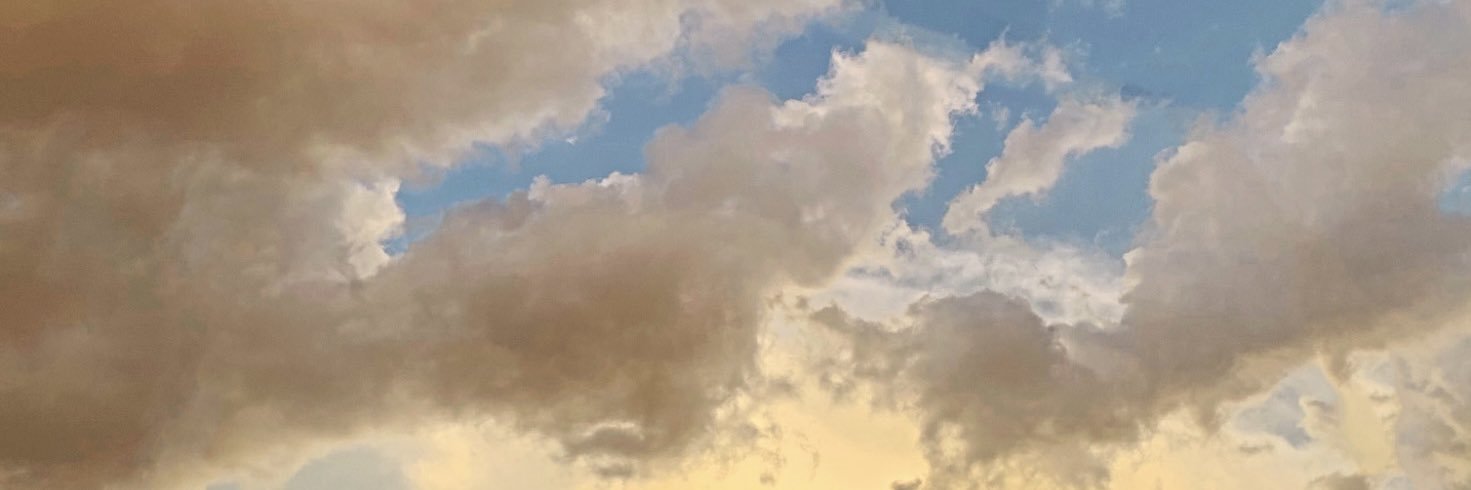 darkniela 🤍's banner