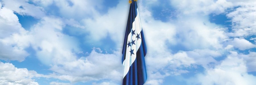 Diario La Noticia's banner