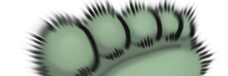 グリーンボス's banner