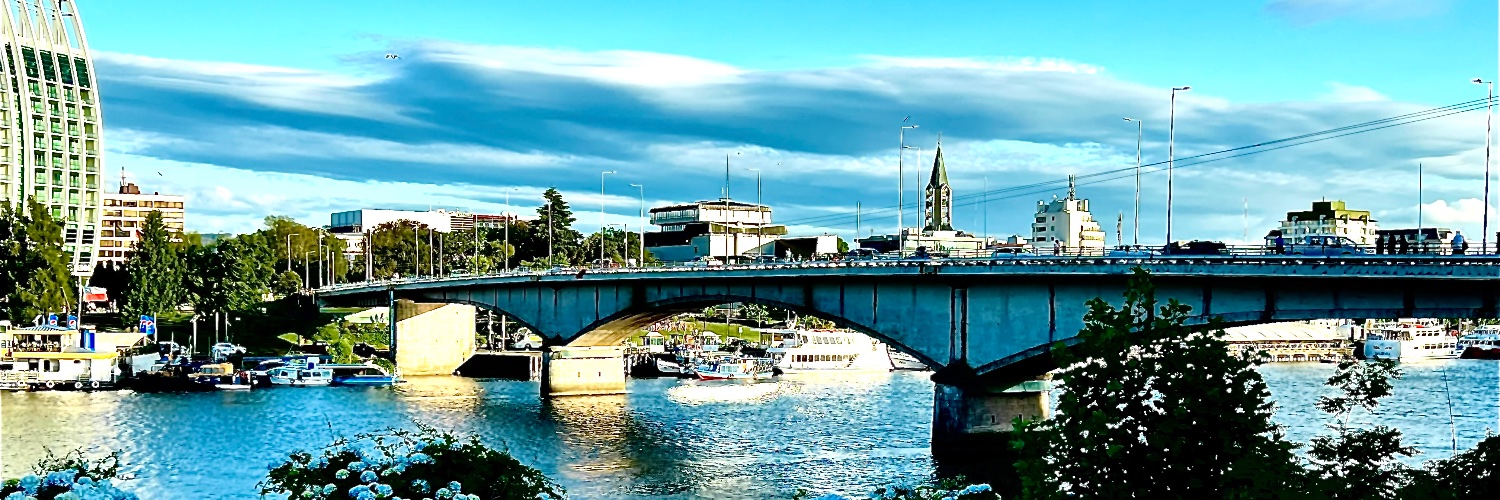 atvvaldivia's banner