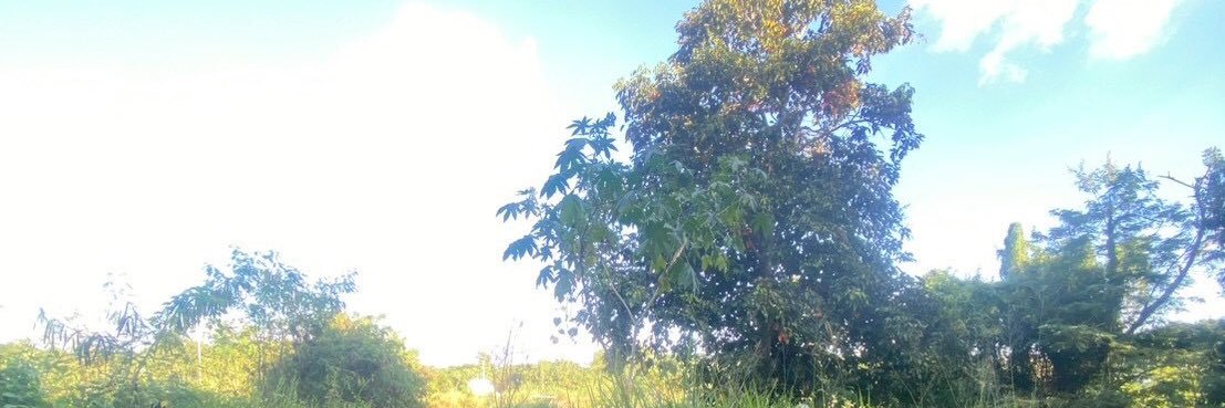 PP_Outdoor's banner